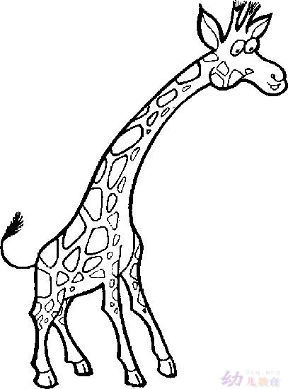 长颈鹿简笔画:长颈鹿的围巾_+长颈鹿简笔画_+