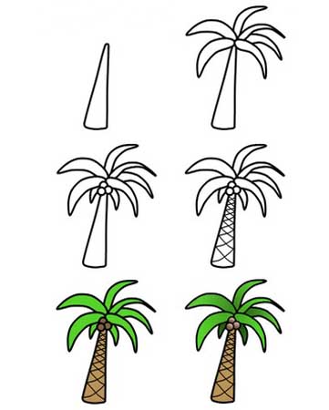 椰子树简笔画:台湾椰子树的传说