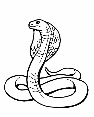 蛇的简笔画:我是一条蛇