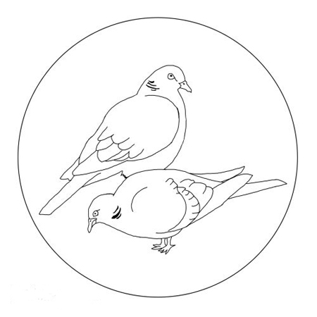 小鸟简笔画:自由的小鸟