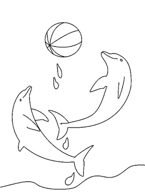 海洋生物简笔画:春天被困在海豚的梦里
