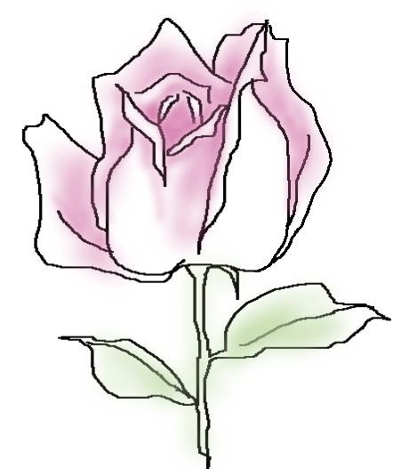 怎样简笔画玫瑰花,如何画玫瑰花