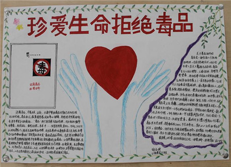 【黄非危害手抄报】