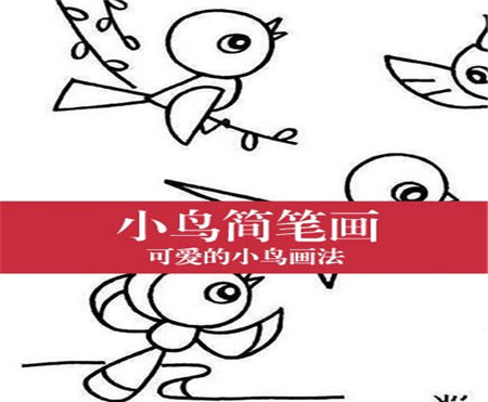 早教 早教资源 简笔画 简笔画动物 小鸟简笔画    我们正在欣赏美丽的