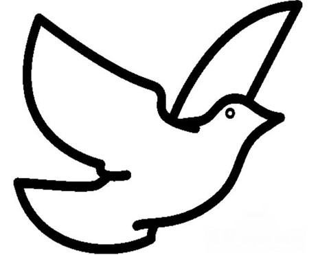 和平鸽简笔画:毕加索与和平鸽_和平鸽简笔画
