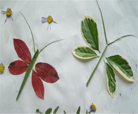树叶贴画作品 树叶粘贴画的季节性较强 树叶贴画作品 树叶粘贴画的季节性较强