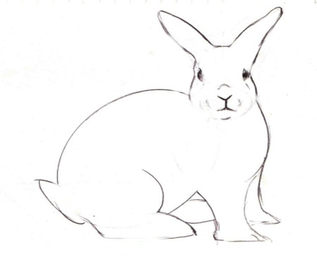 兔子简笔画:我喜欢小白兔_兔子简笔画