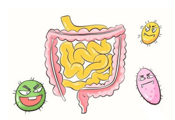 不护短要护"肠"!保卫宝宝肠道健康刻不容缓