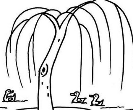 大树简笔画:我家门口的柳树