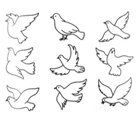 和平鸽简笔画:和平 和平鸽