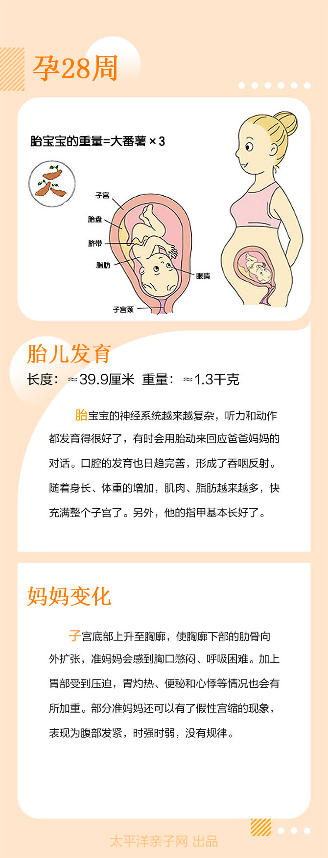 怀孕28周胎儿发育和妈妈变化