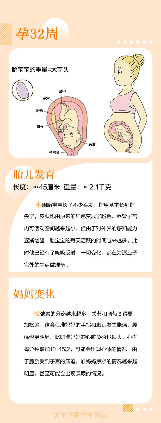 怀孕32周胎儿发育和妈妈变化