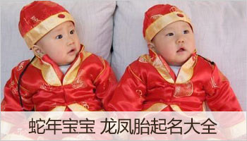 双胞胎起名_双胞胎名字_龙年双胞胎男孩女孩