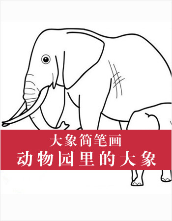 大象简笔画：动物园里的大象