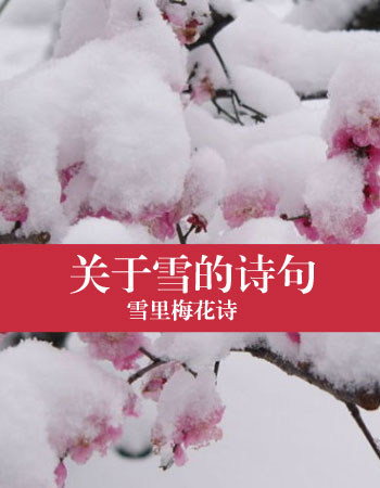 关于雪的诗句_收集一些关于下雪的诗句?收集一些关于下雪的诗句.