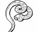 蛇的简笔画法四