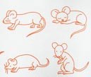小老鼠的画法二