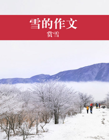 描写雪的作文_关于雪景的作文：冬天的雪景_600字