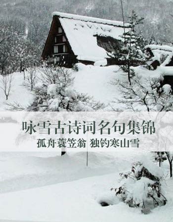 关于雪的诗句_关于雪的诗句,只要十句