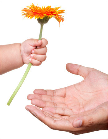 八个月宝宝的正确喂养方法是什么 1181367_138307570.jpg