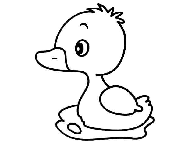 小鸭子简笔画:鸭子