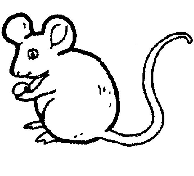 画老鼠的简单画法图片