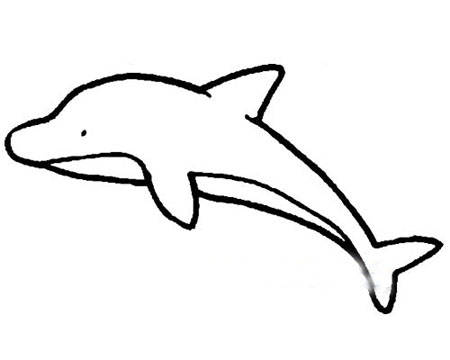海洋生物简笔画:白鳍豚