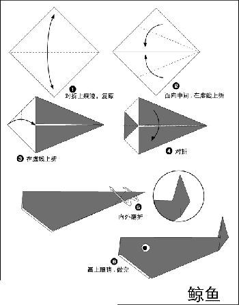 虎鲸的折法图片