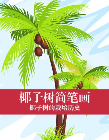 椰子树简笔画：椰子树的栽培历史