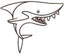 鲨鱼的简笔画法