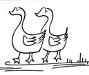小鸭子的画法三