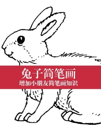 兔子简笔画：适合孩子学习的简笔画